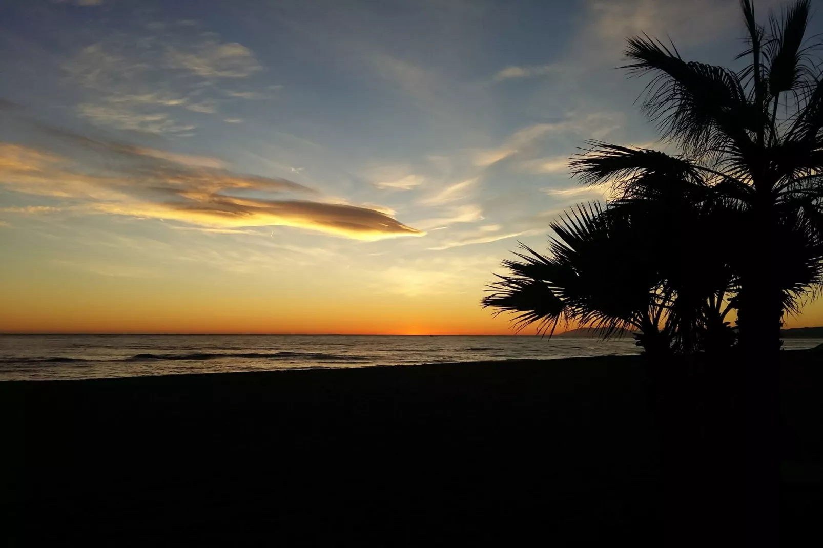 Rincon Tropical