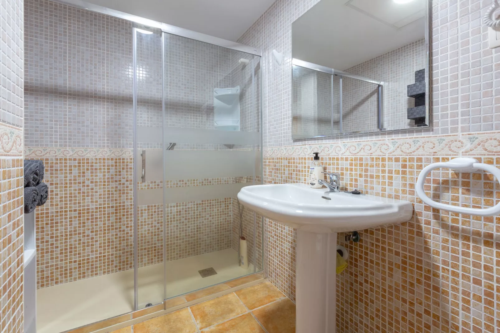 Tolox 2-Badkamer