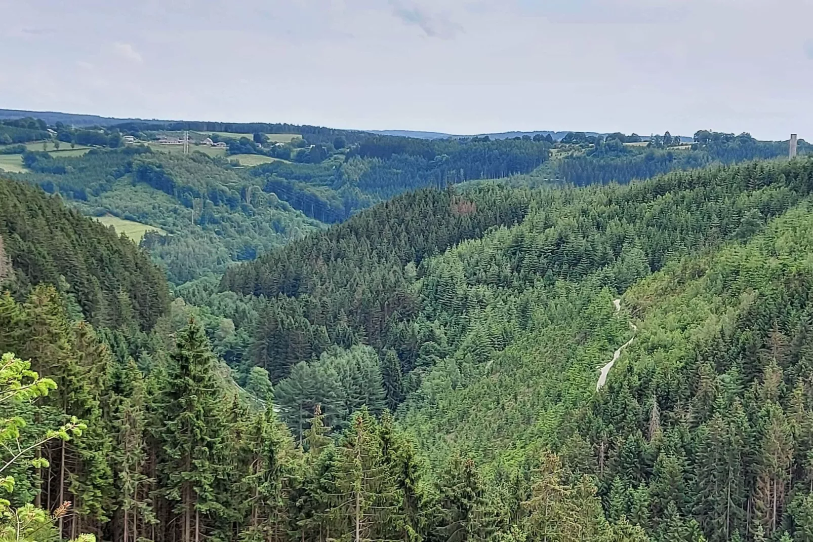 Les Hirondelles-Gebieden zomer 1km