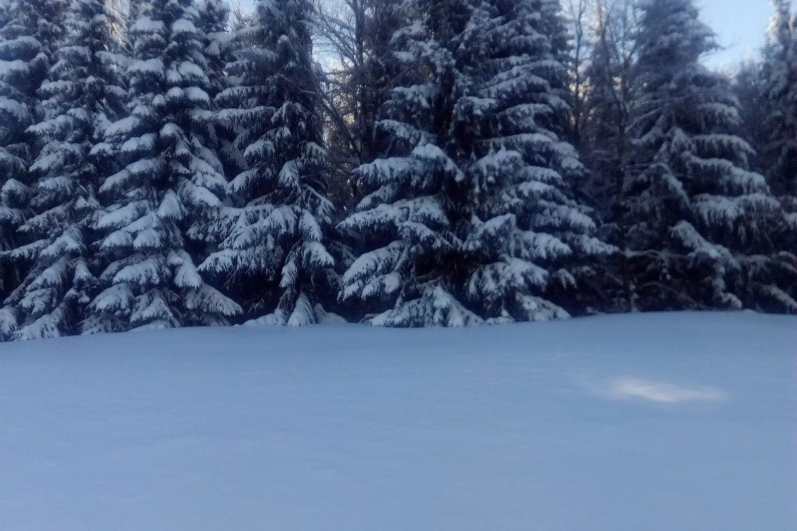 Am Sonnenblick-Gebied winter 1km