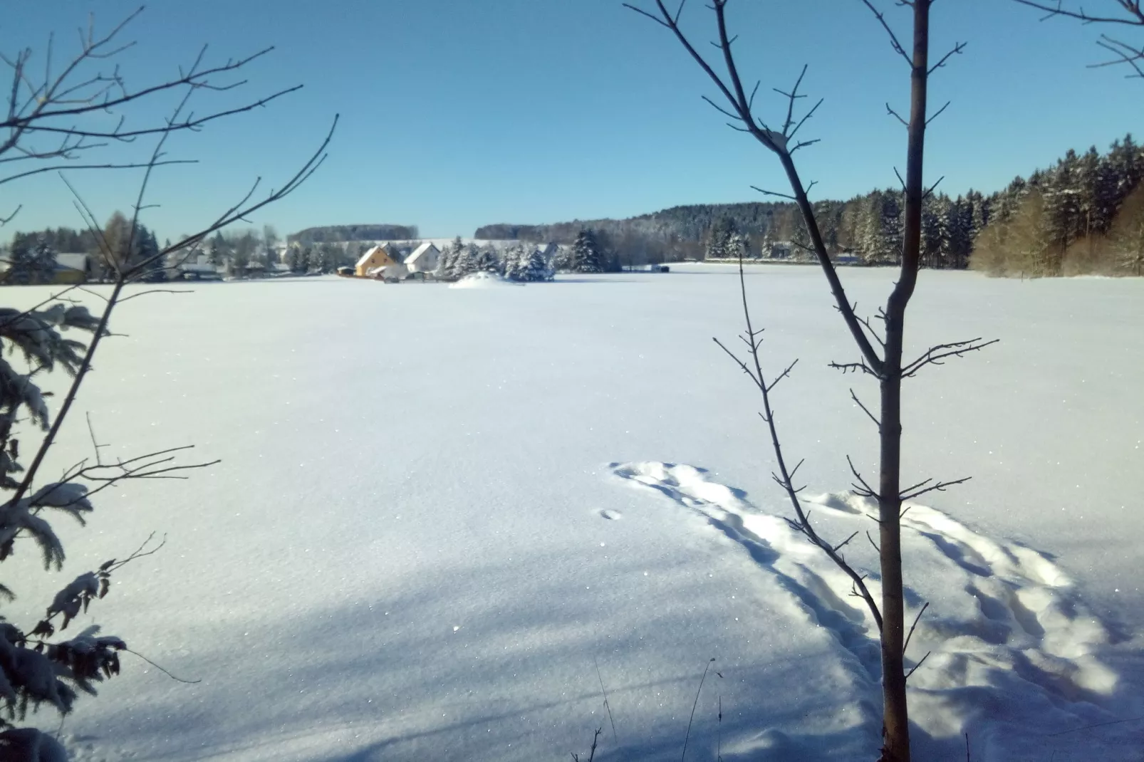 Am Sonnenblick-Gebied winter 1km