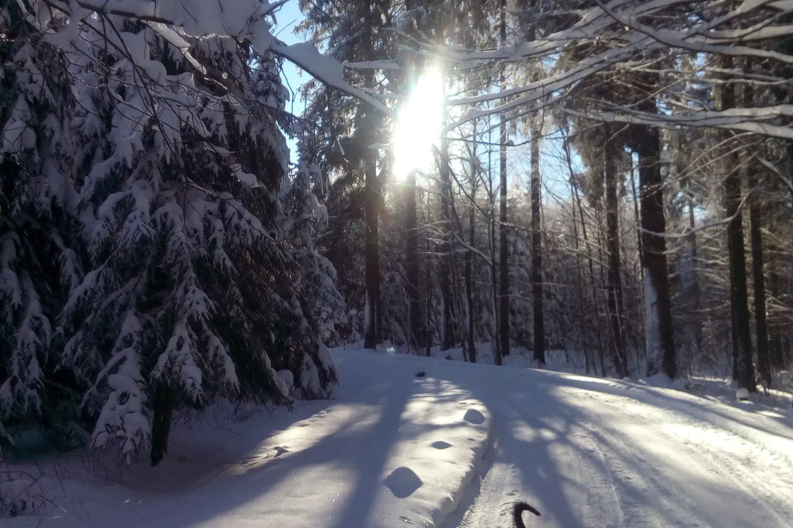 Am Sonnenblick-Gebied winter 20km