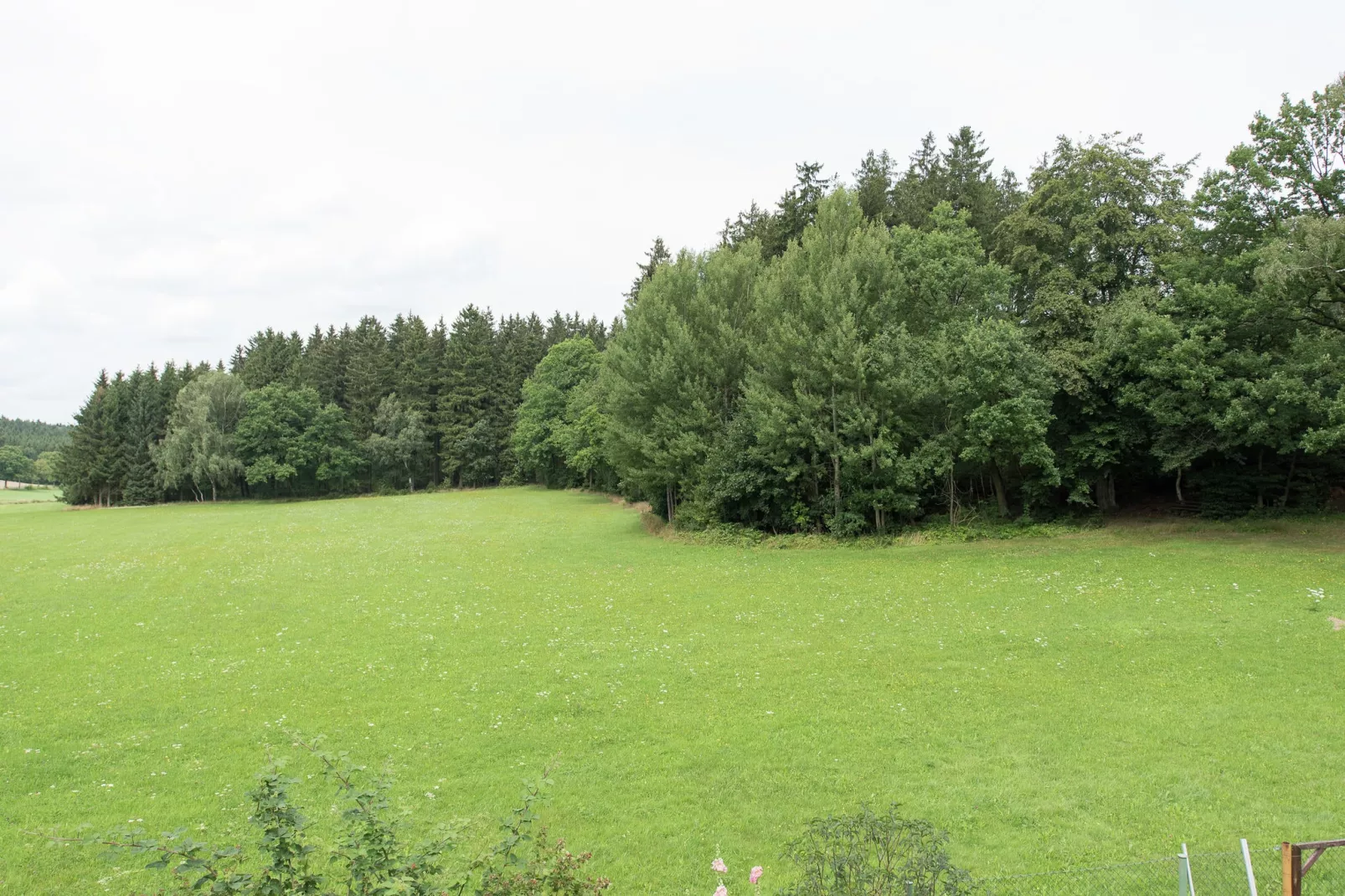 Am Sonnenblick-Gebieden zomer 1km