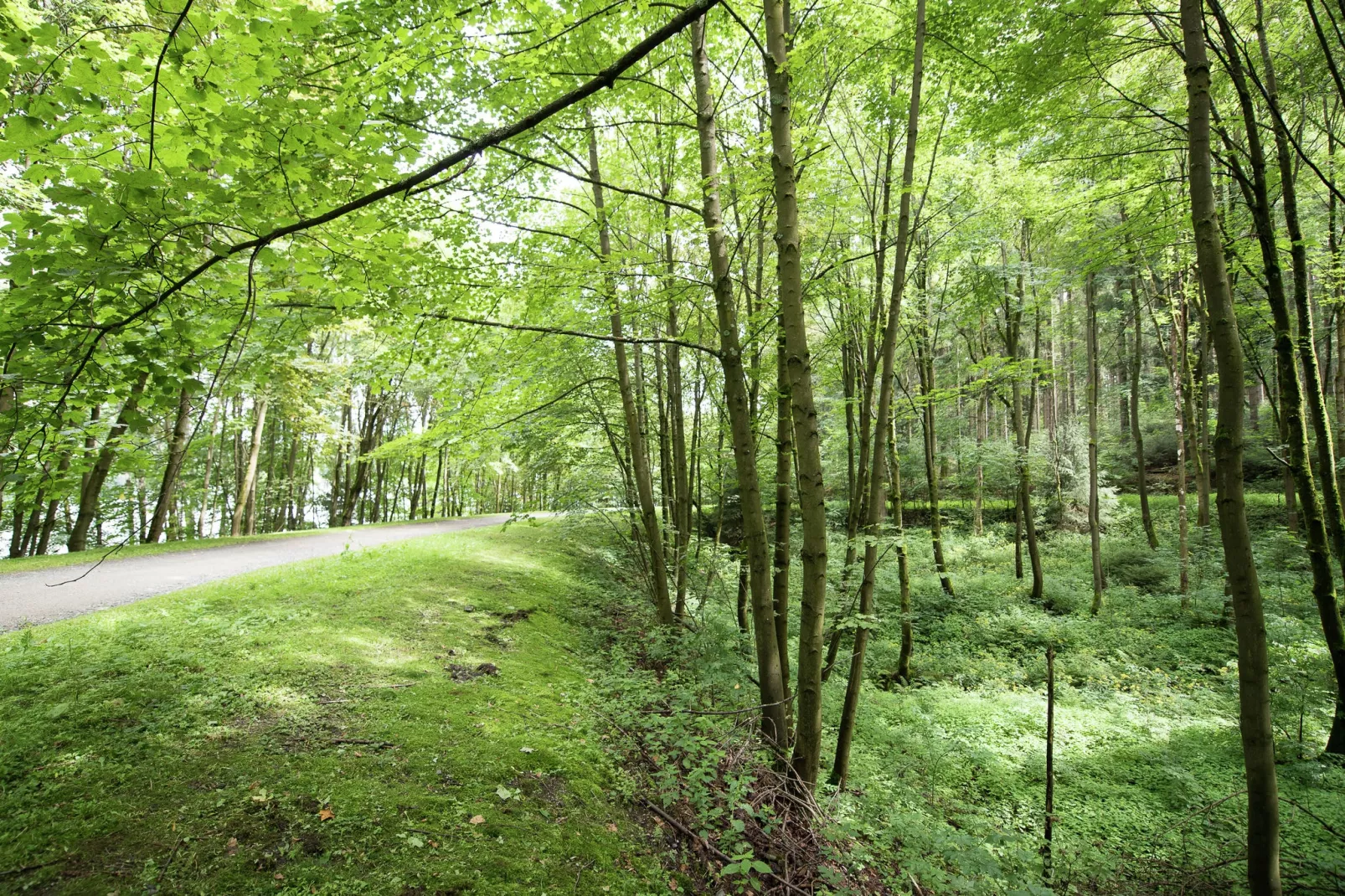 Am Sonnenblick-Gebieden zomer 5km