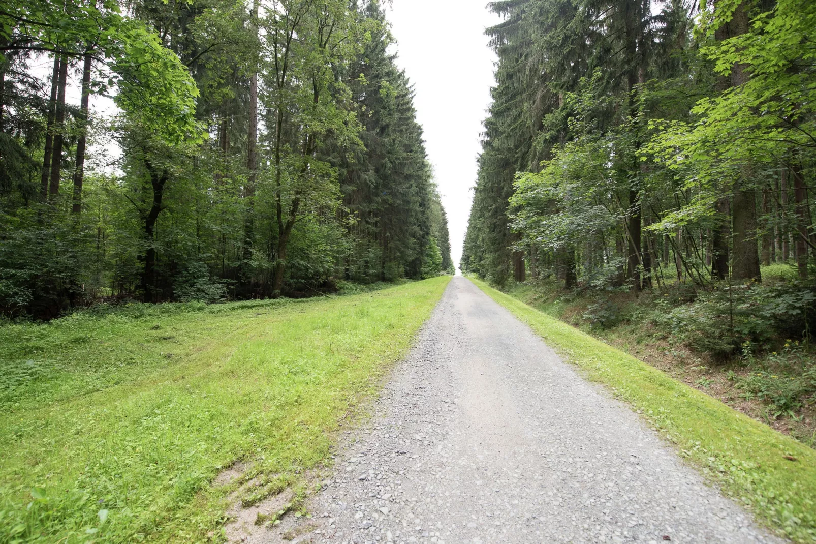 Am Sonnenblick-Gebieden zomer 5km