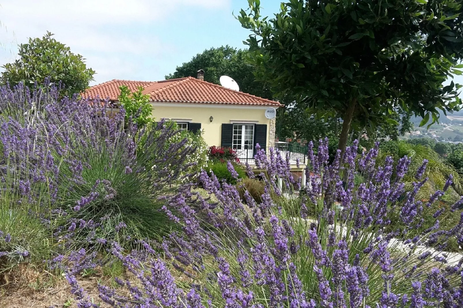 Casa do Coqueiro-Tuinen zomer