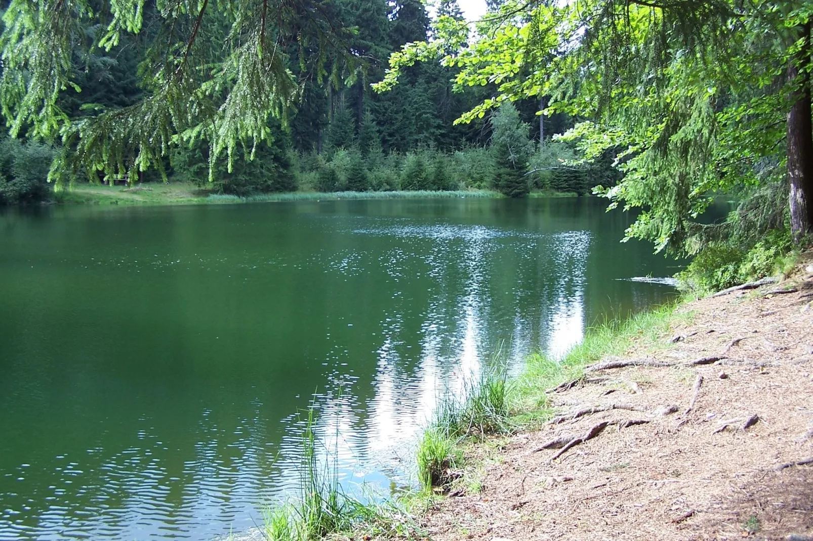 Zum Erzgebirge-Gebieden zomer 20km