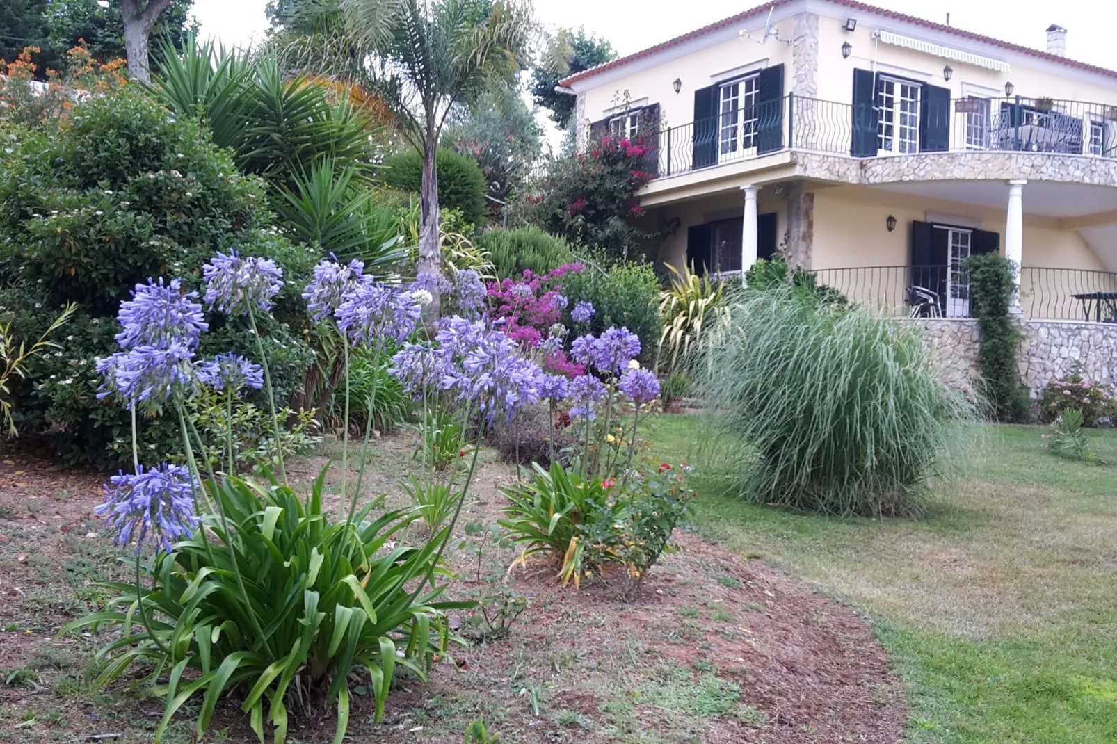 Casa do Coqueiro-Tuinen zomer