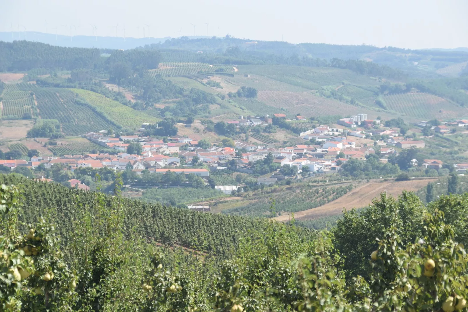 Casa do Coqueiro-Gebieden zomer 5km