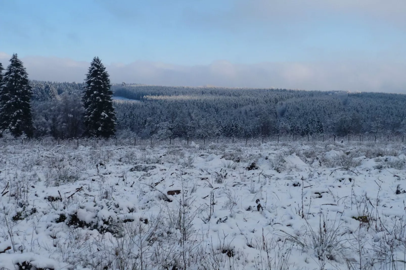 La Fagnardise-Gebied winter 5km
