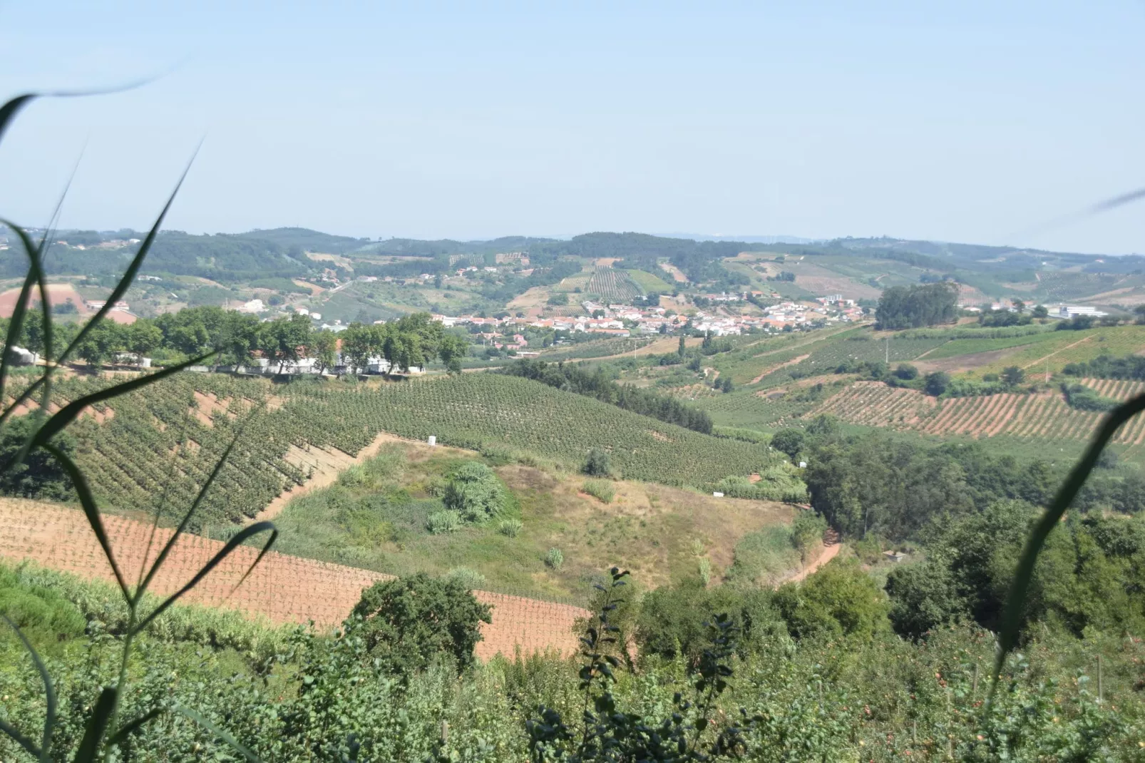 Casa do Coqueiro-Gebieden zomer 20km