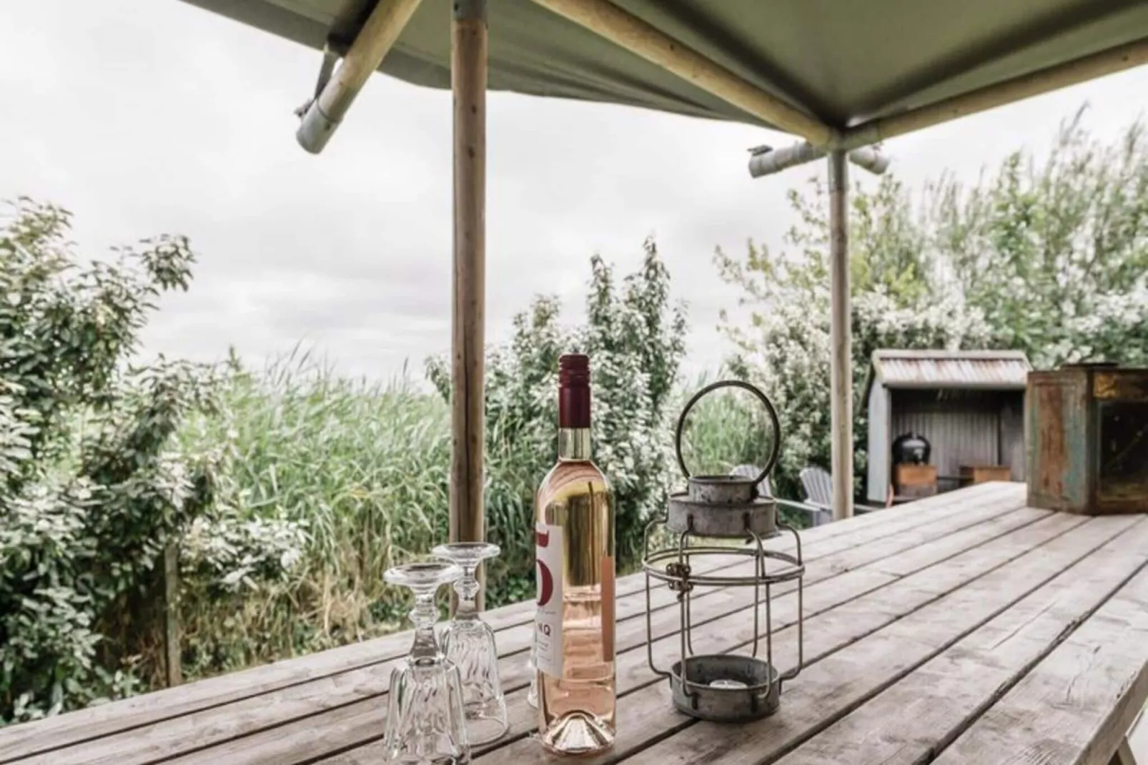 Beach Lodge - Duynpark-Uitzicht zomer