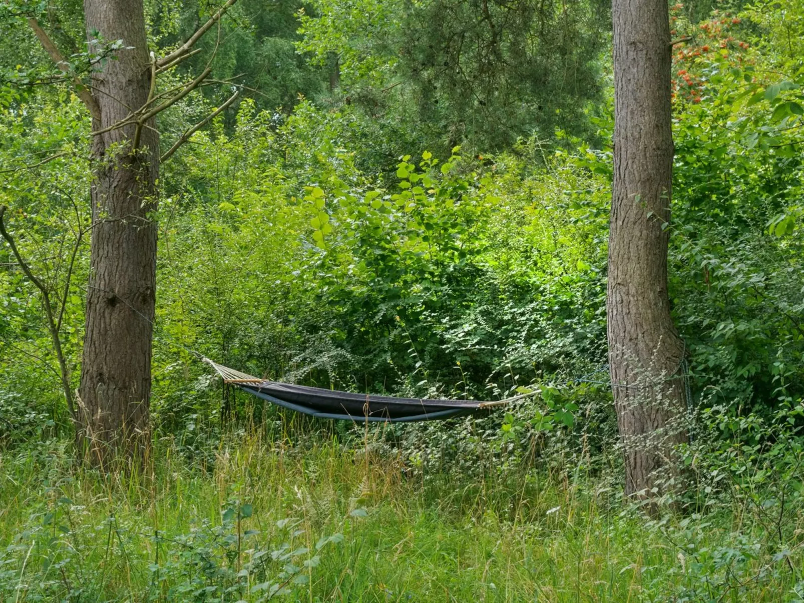 "Gunborg" -  from the sea-Buiten
