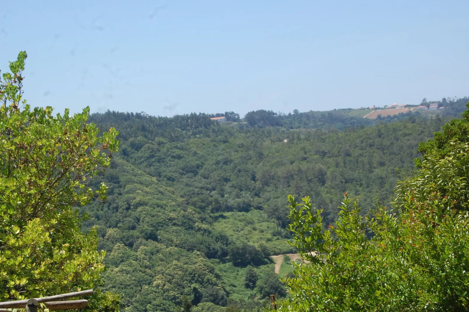 Alto da Maceira-Uitzicht zomer