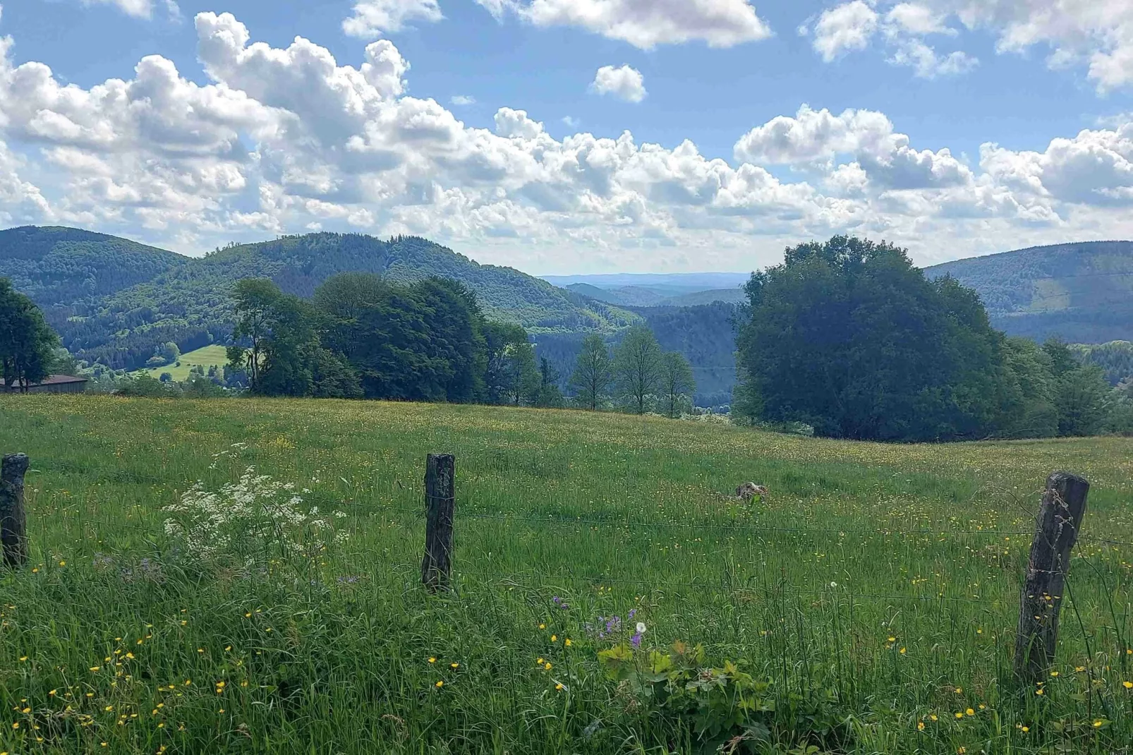 Ferienwohnung Maria Müller-Gebieden zomer 20km
