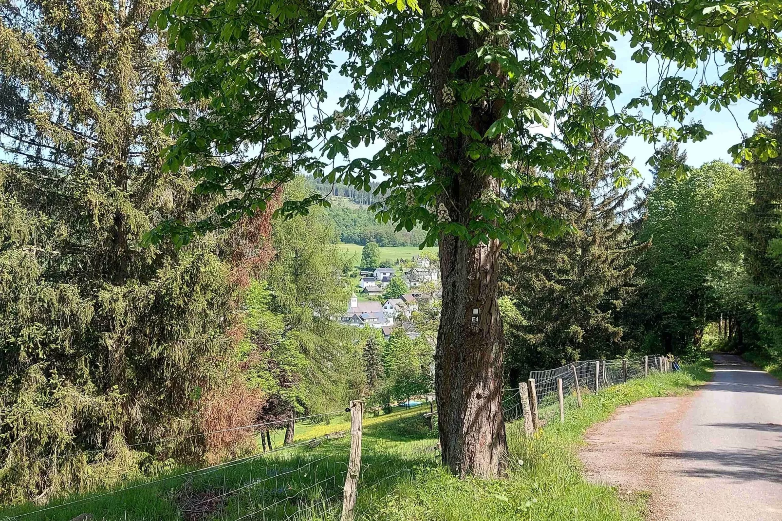 Ferienwohnung Maria Müller-Gebieden zomer 20km