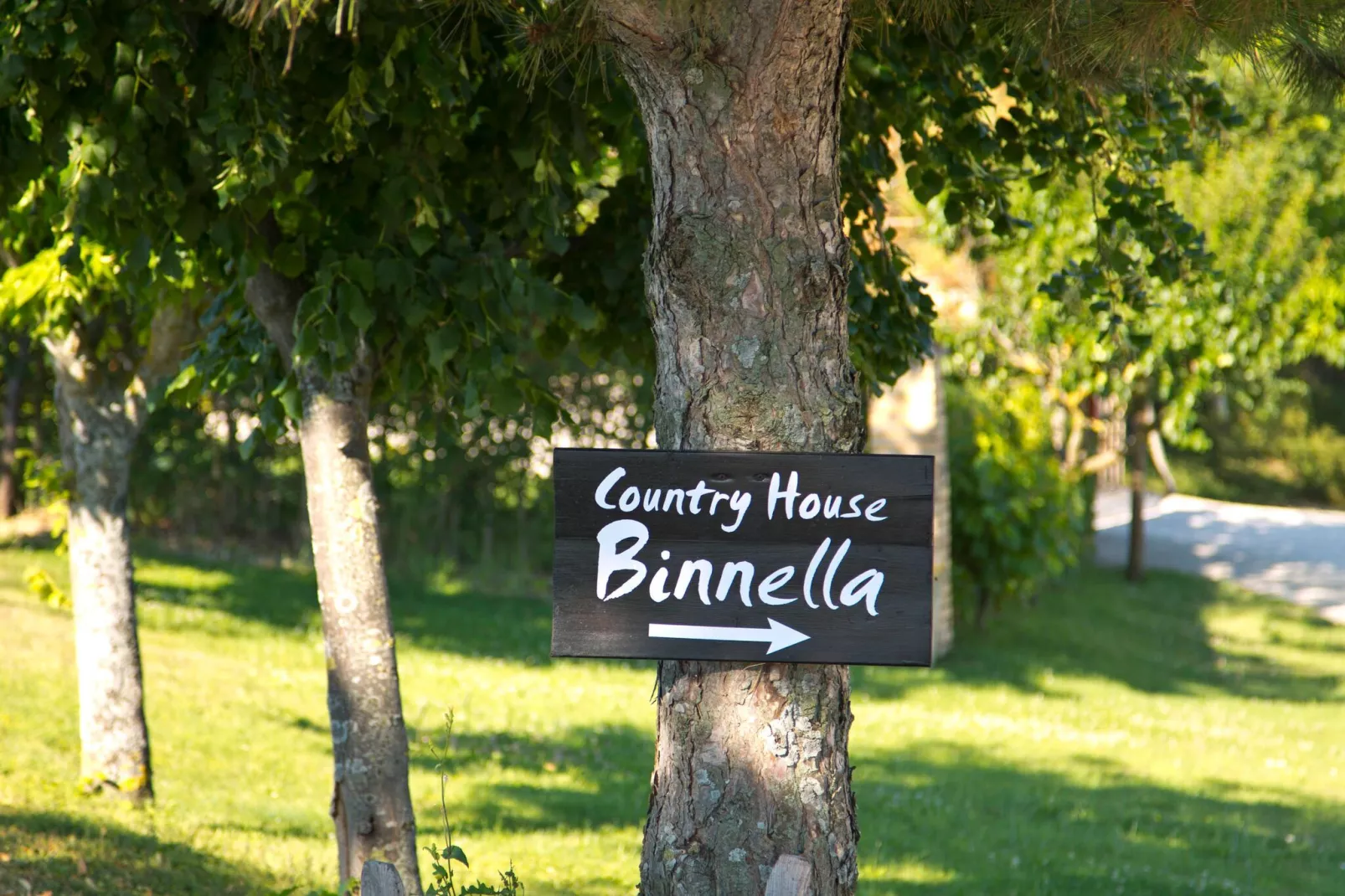Binnella 10-Tuinen zomer