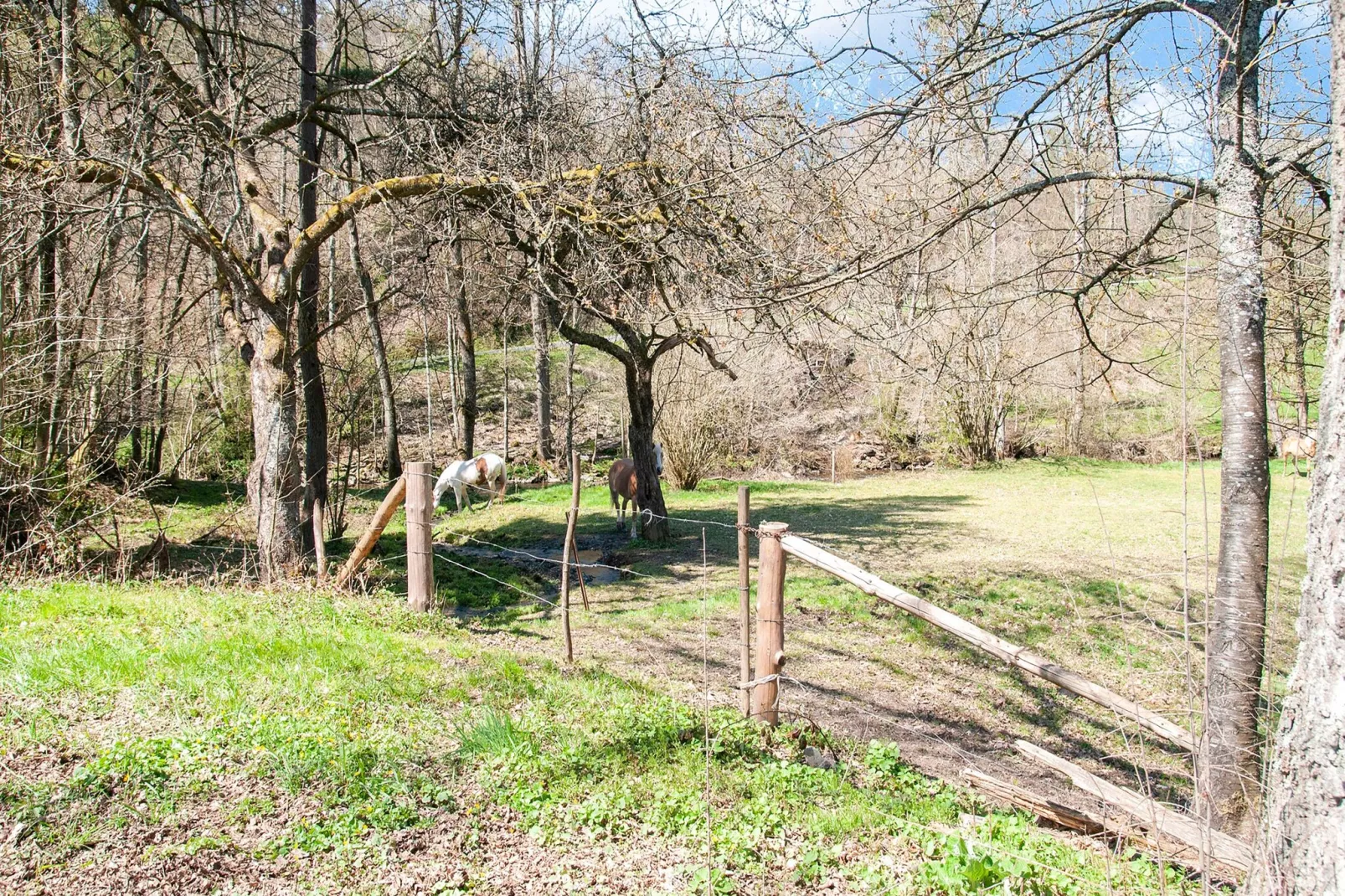 Superbe habitation pour 4 adultes-Gebieden zomer 1km