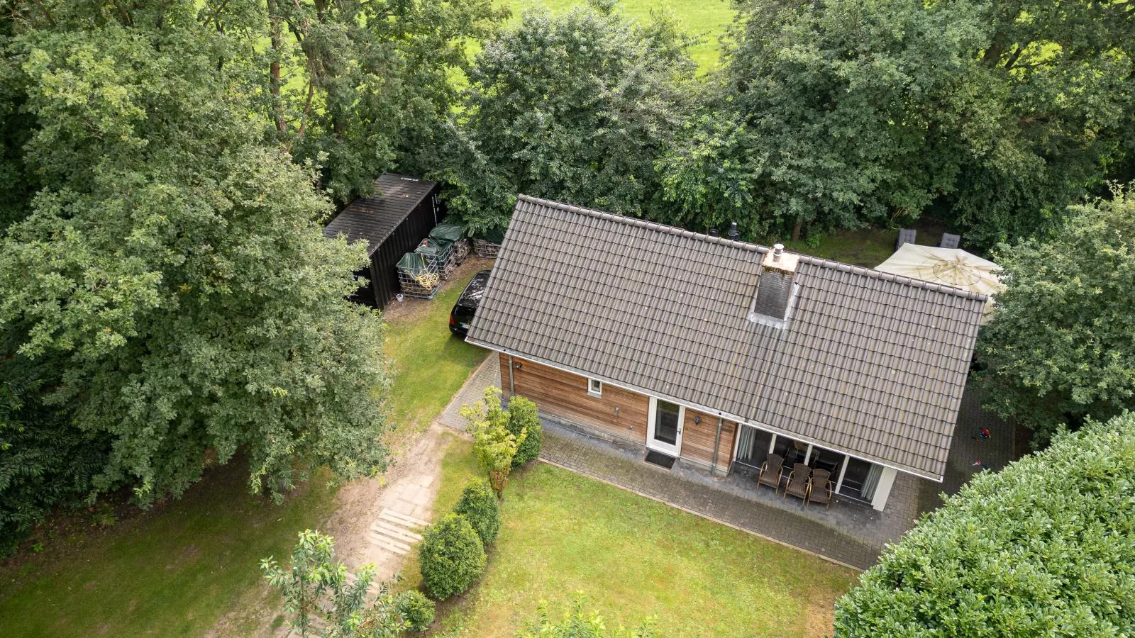 Boszicht Reutum-Gebieden zomer 1km