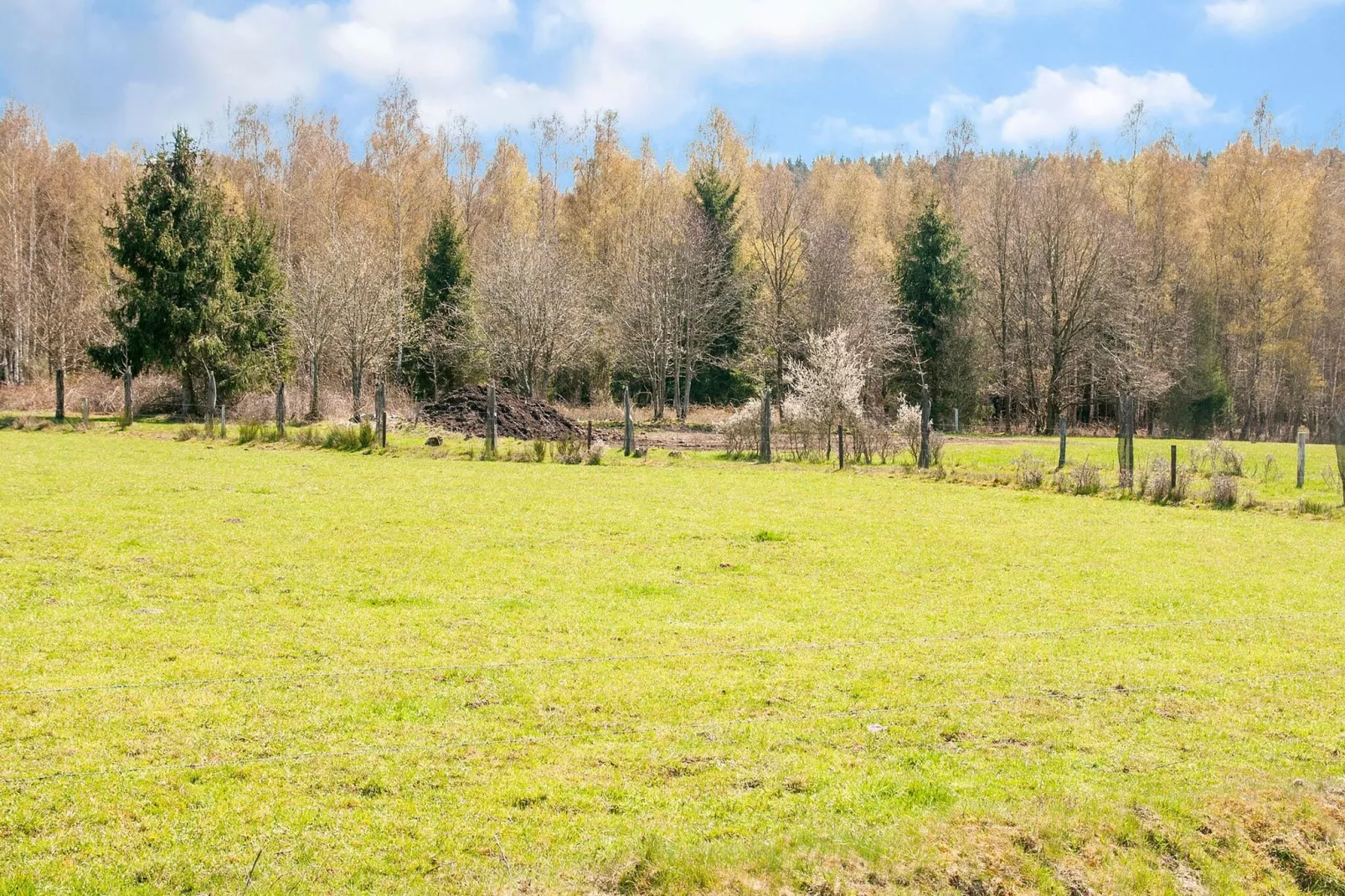 Superbe habitation pour 4 adultes-Gebieden zomer 20km