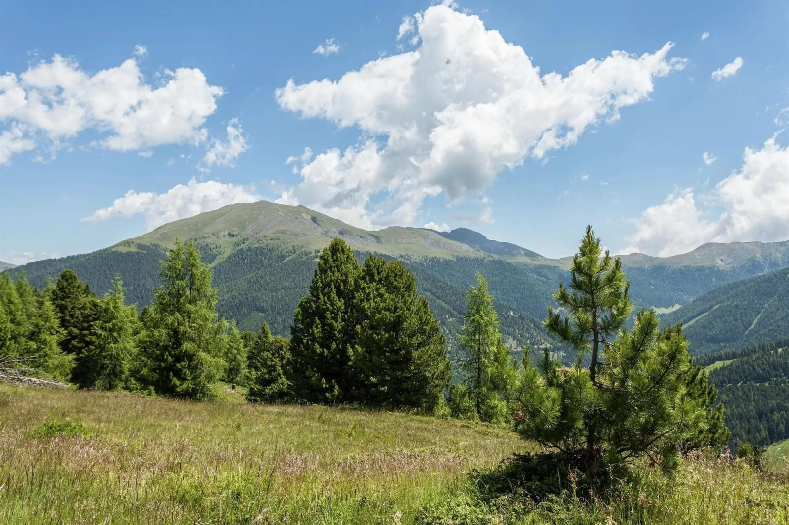 Alpenpark Turrach App6-Gebieden zomer 5km