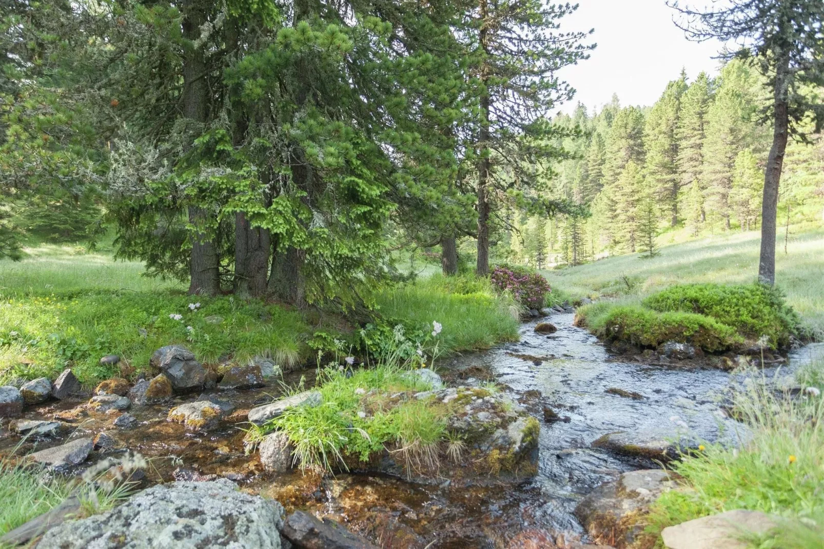 Alpenpark Turrach App6-Gebieden zomer 20km