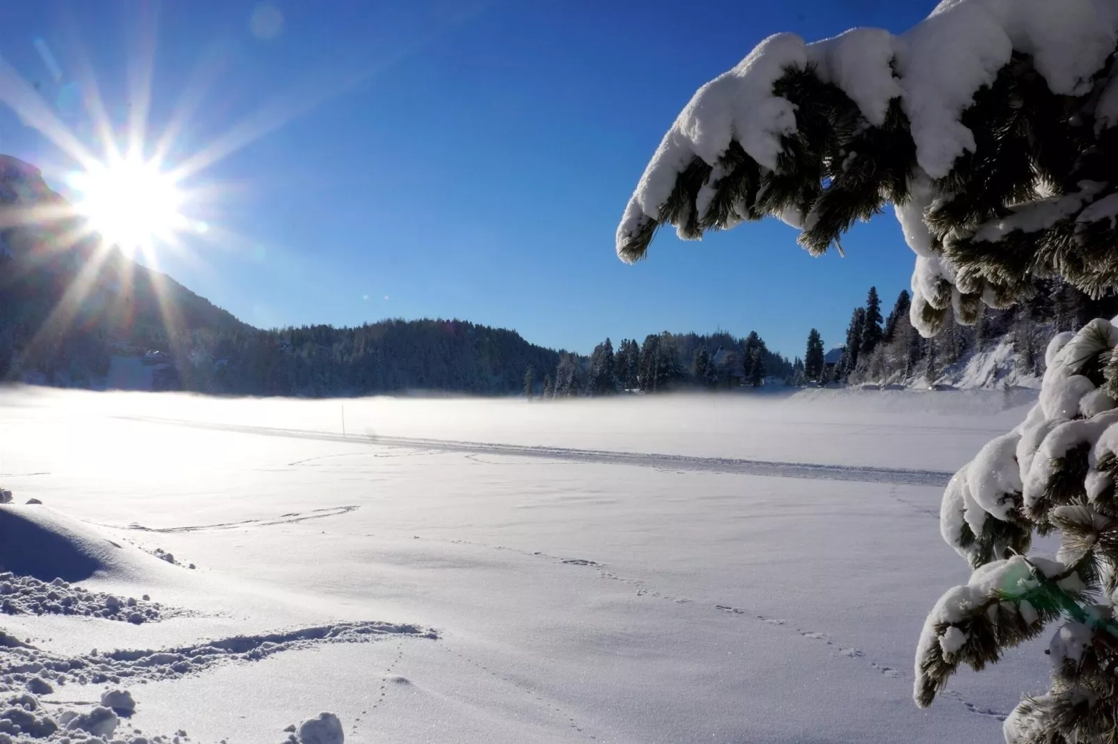 Alpenpark Turrach App6-Gebied winter 5km