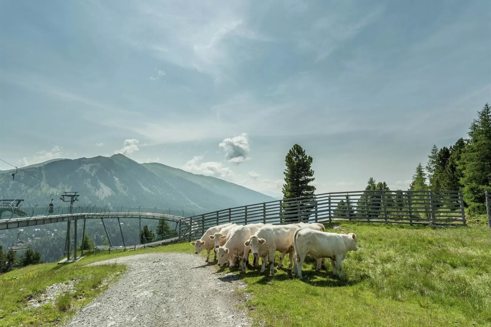 Alpenpark Turrach App8-Uitzicht zomer