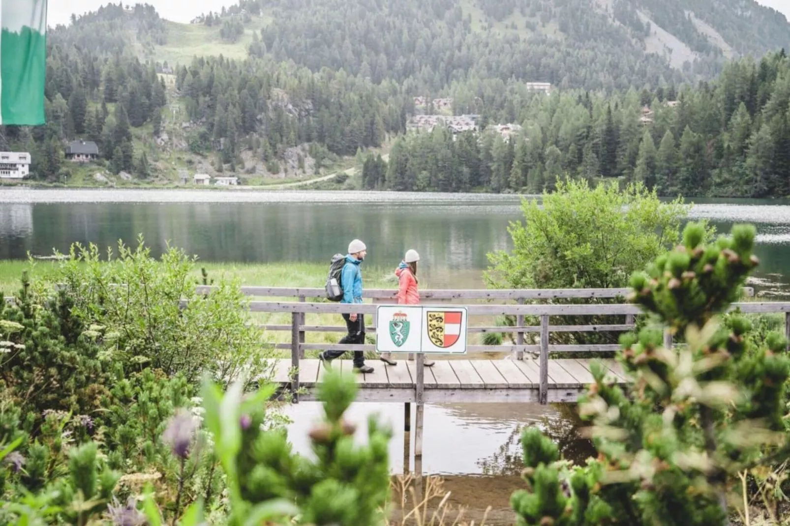 Alpenpark Turrach App 10-Gebied winter 1km