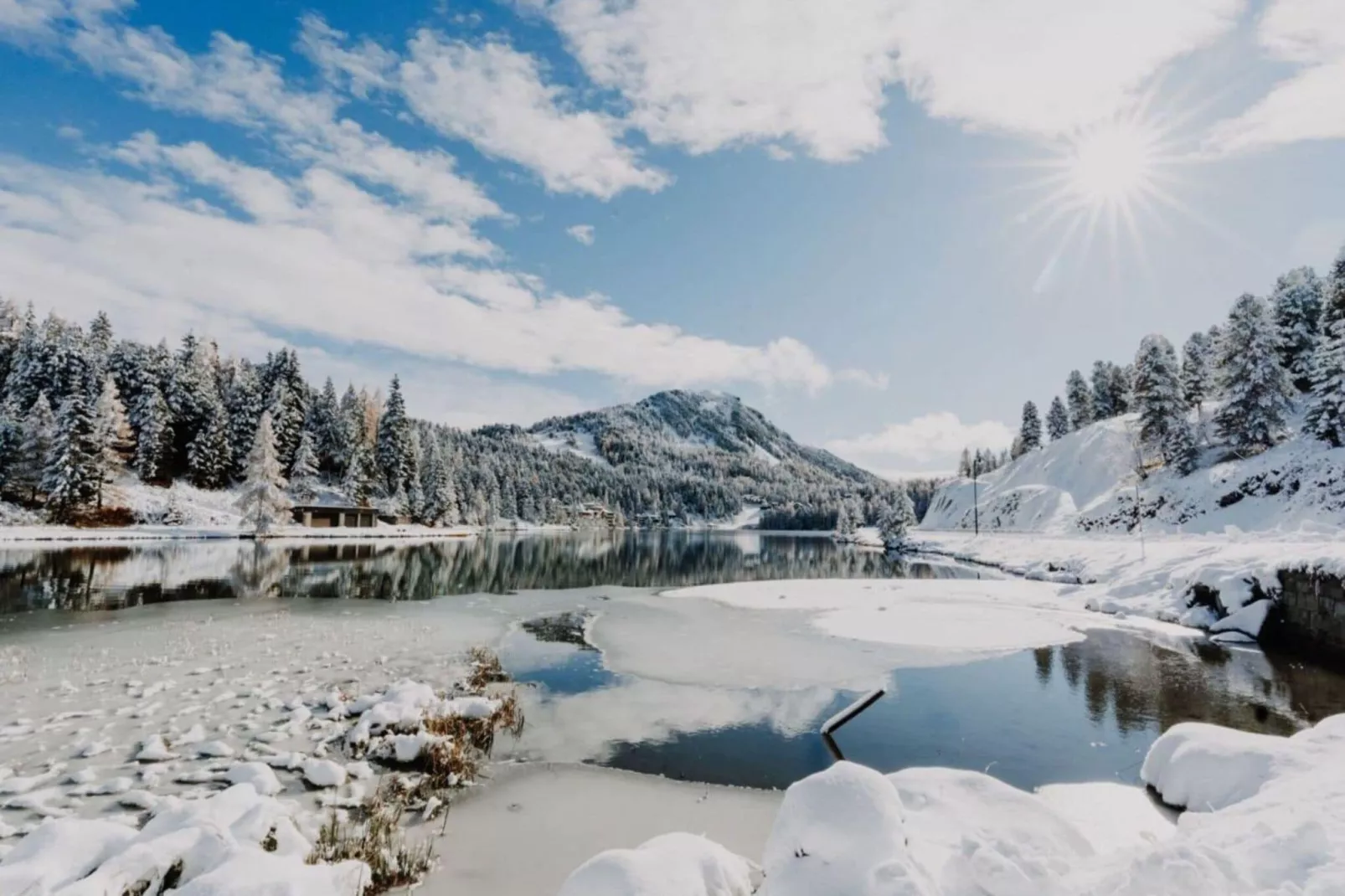 Alpenpark Turrach App 11-Gebied winter 1km