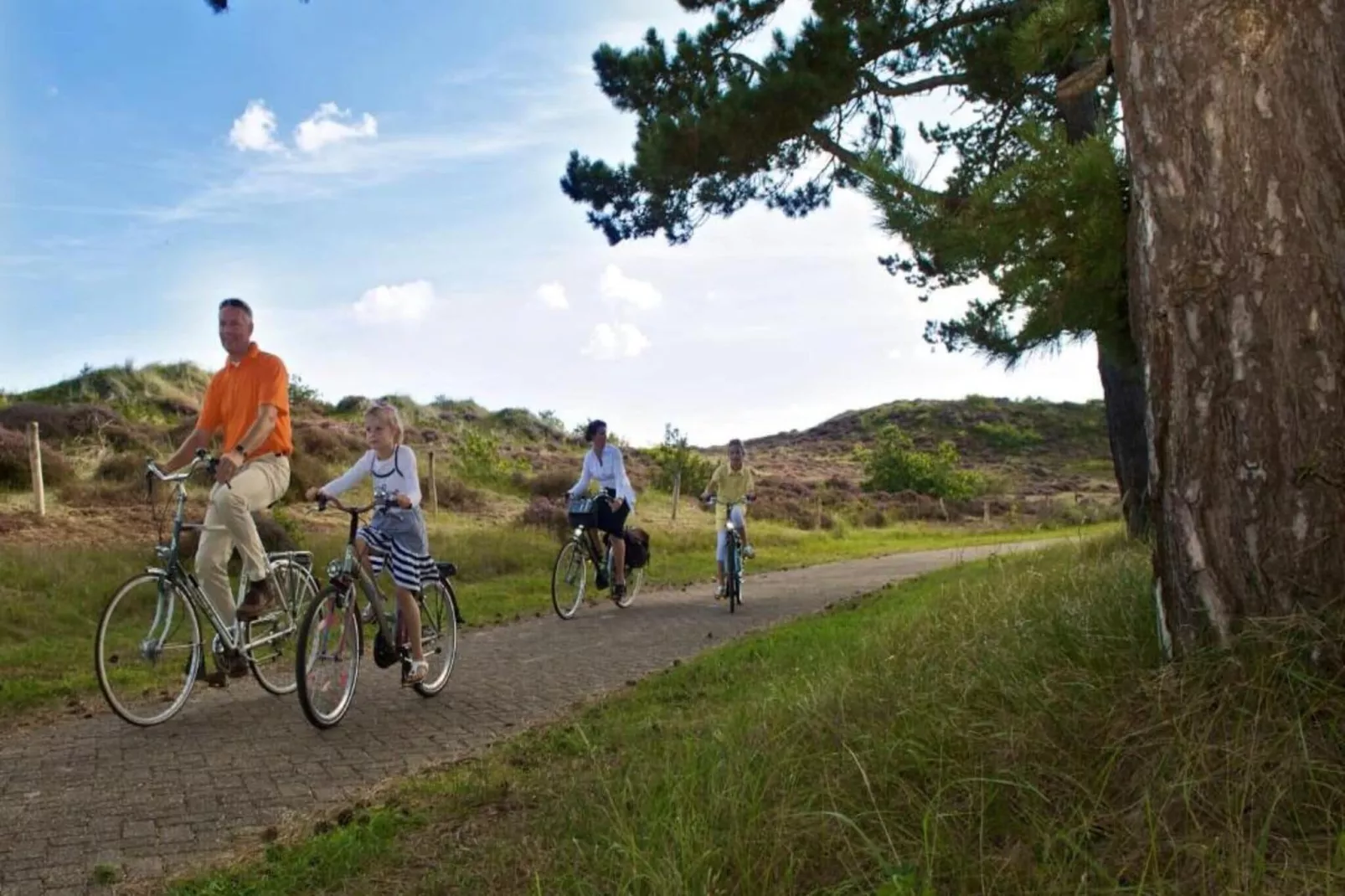 Alpenpark Turrach App 12-Gebieden zomer 5km