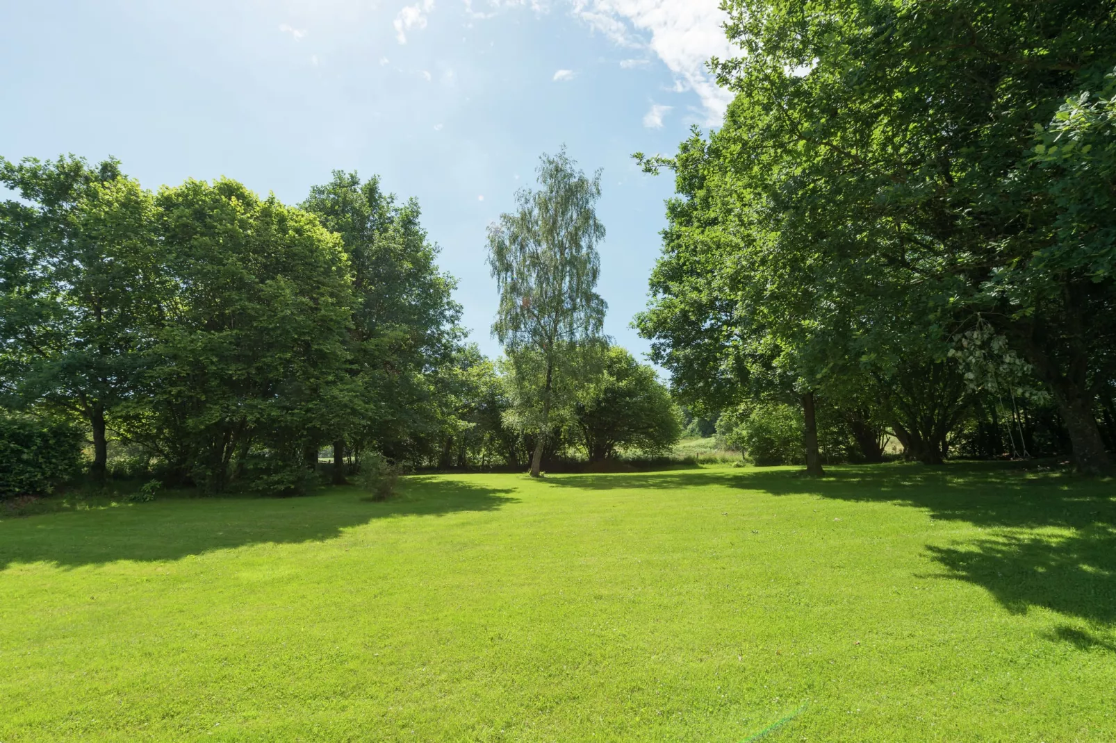 Le Gîte de Jevigné-Tuinen zomer