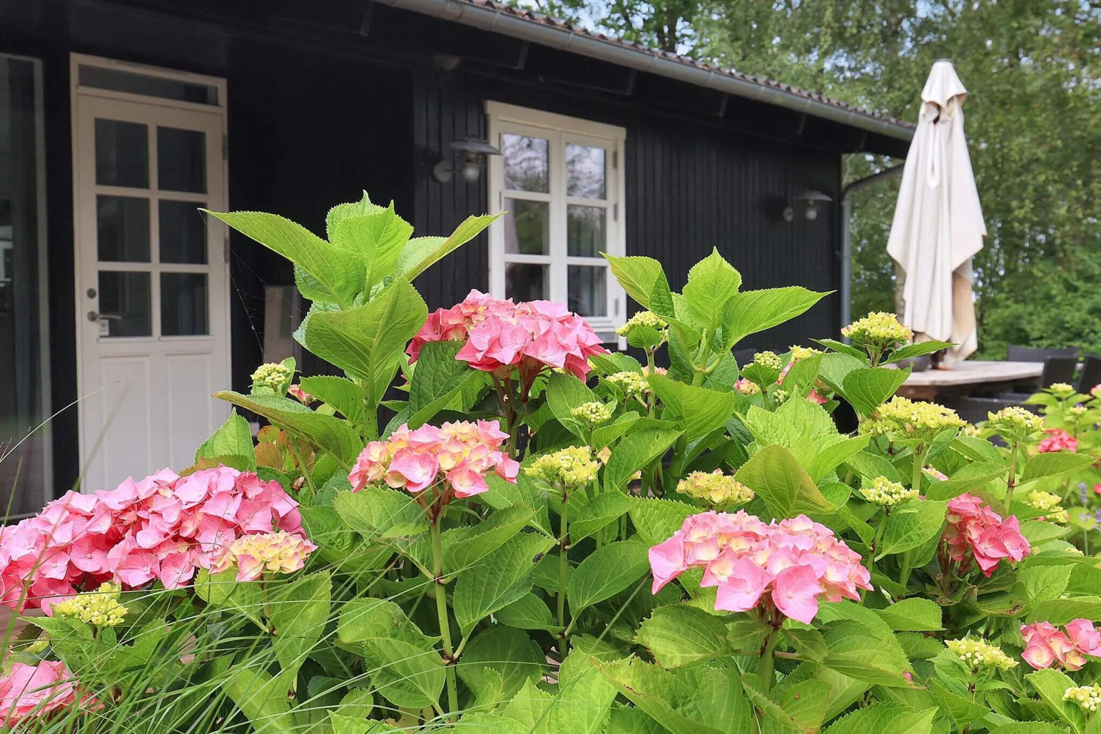 6 persoons vakantie huis in Mern-By Traum-Uitzicht