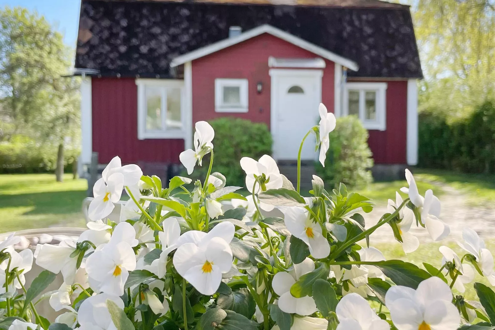 4 persoons vakantie huis in SÖLVESBORG-By Traum-Buitenlucht
