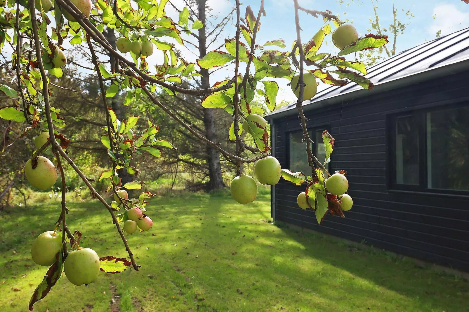 6 persoons vakantie huis in Hjørring-By Traum-Uitzicht