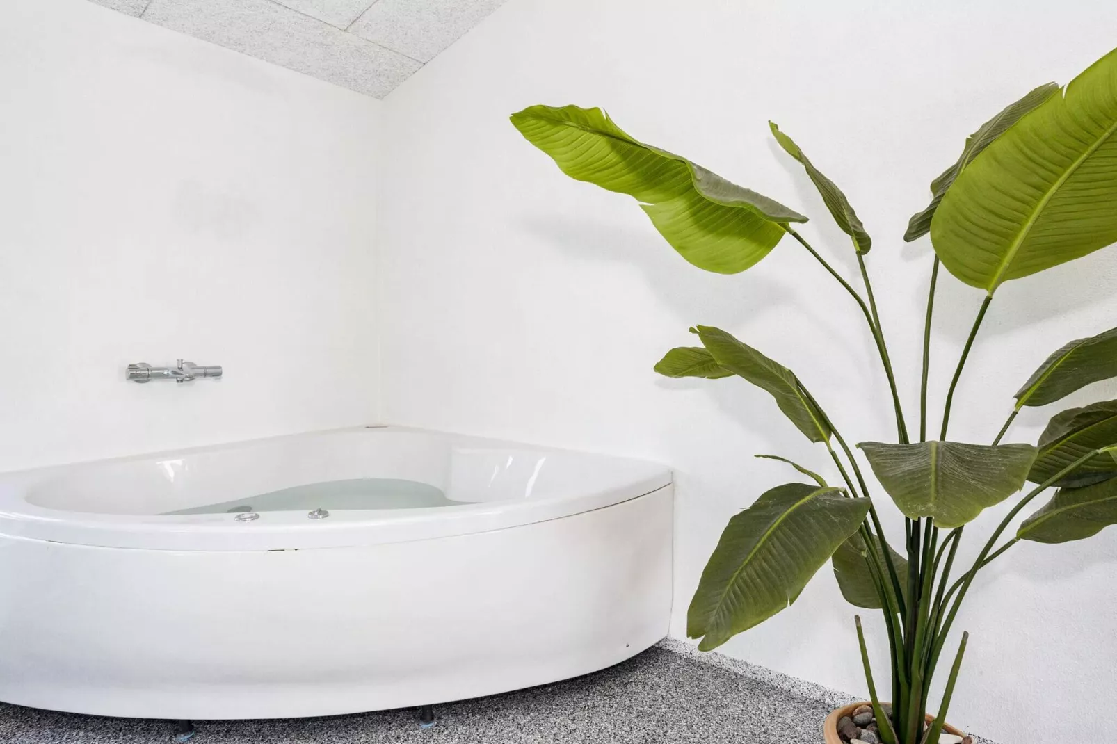 10 persoons vakantie huis in Vestervig-By Traum-Spa