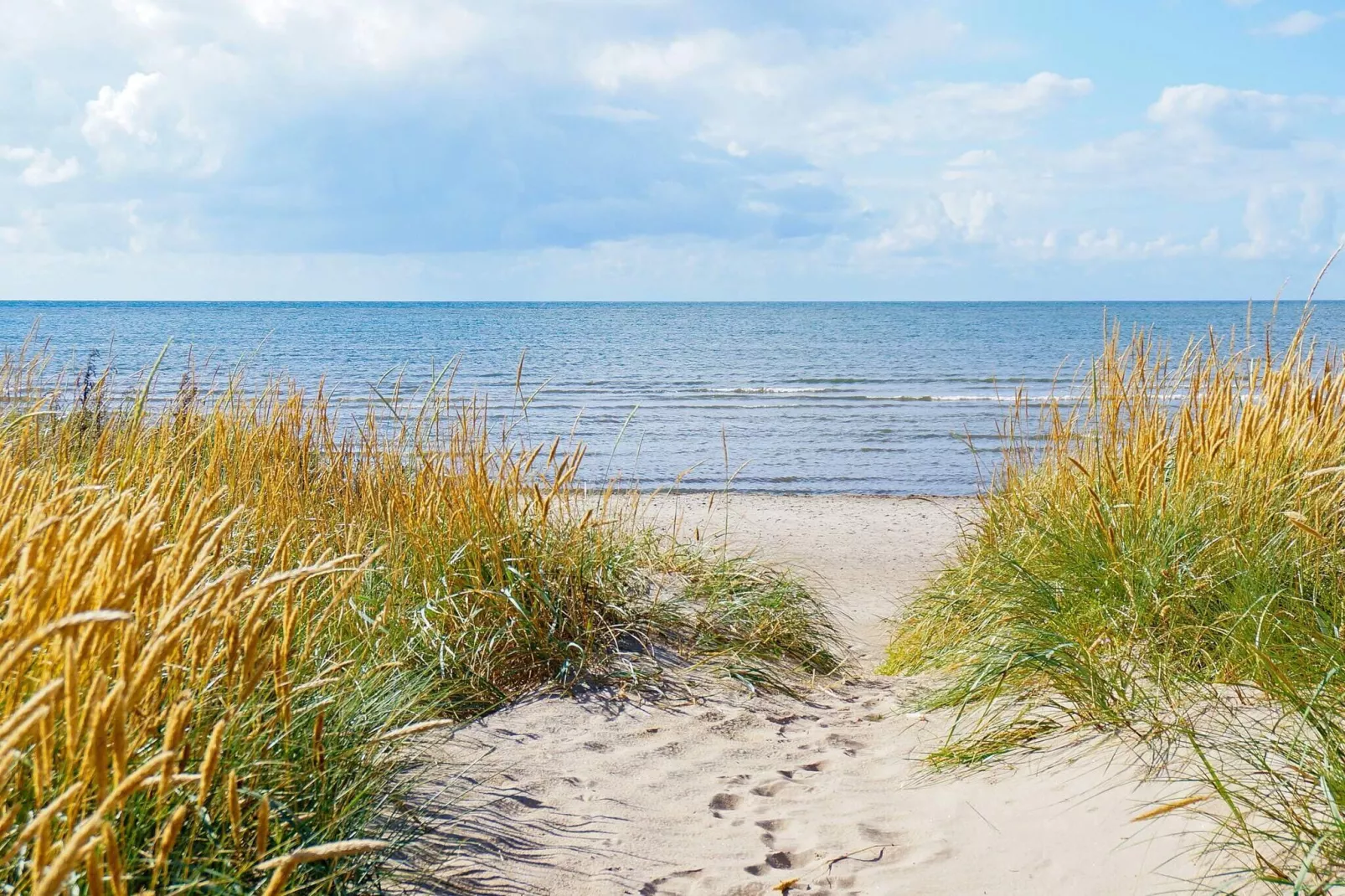 4 persoons vakantie huis in FALKENBERG-By Traum-Niet-getagd