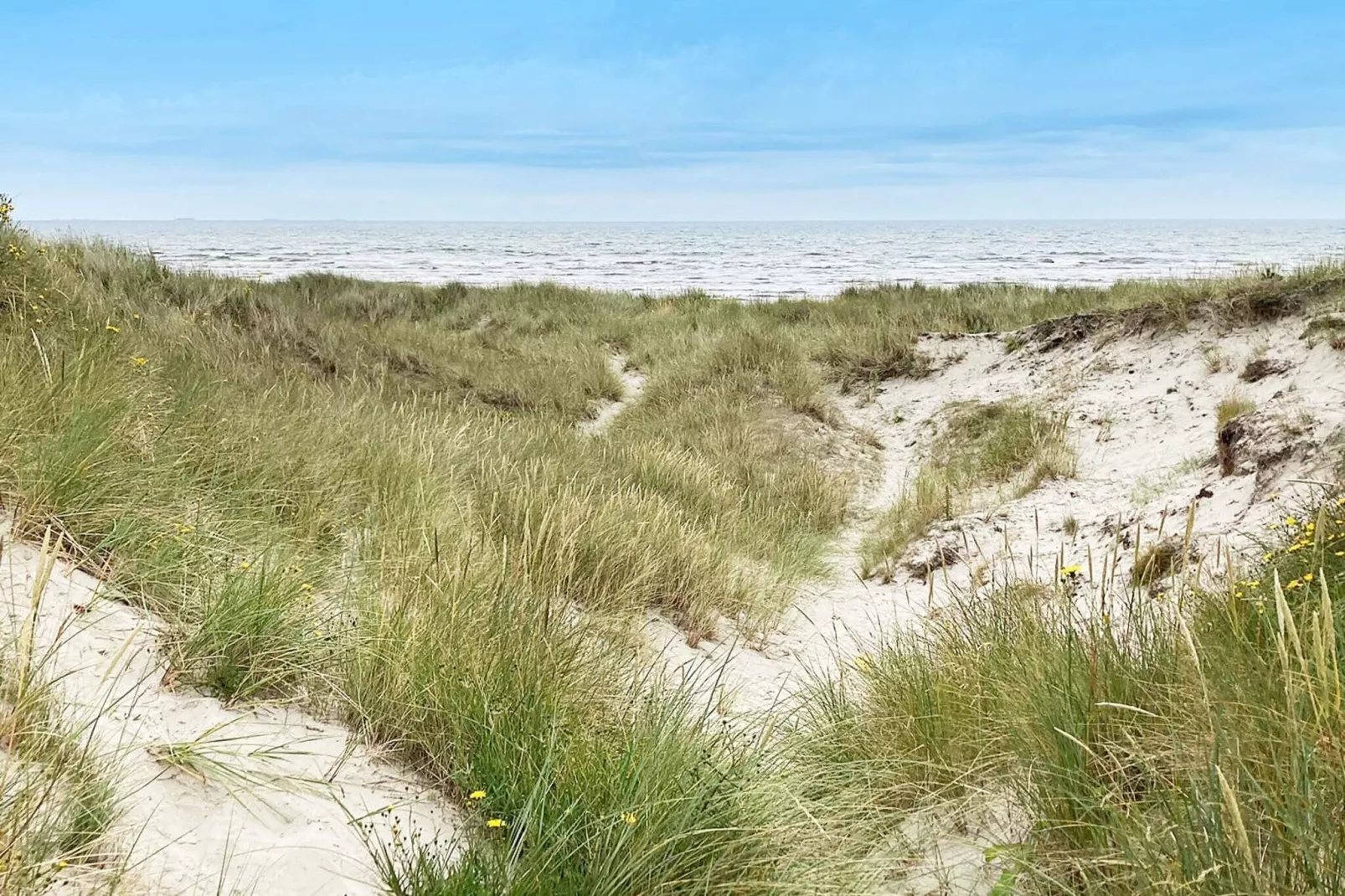 8 persoons vakantie huis in Ålbæk-By Traum-Buitenlucht