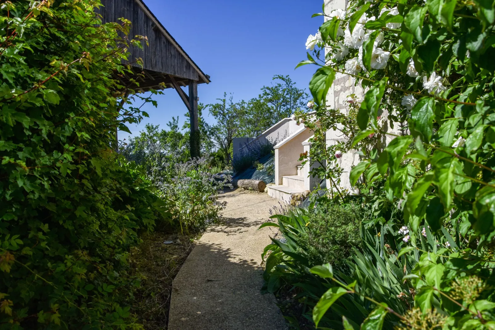 Gite vallée de la Loire-Tuinen zomer