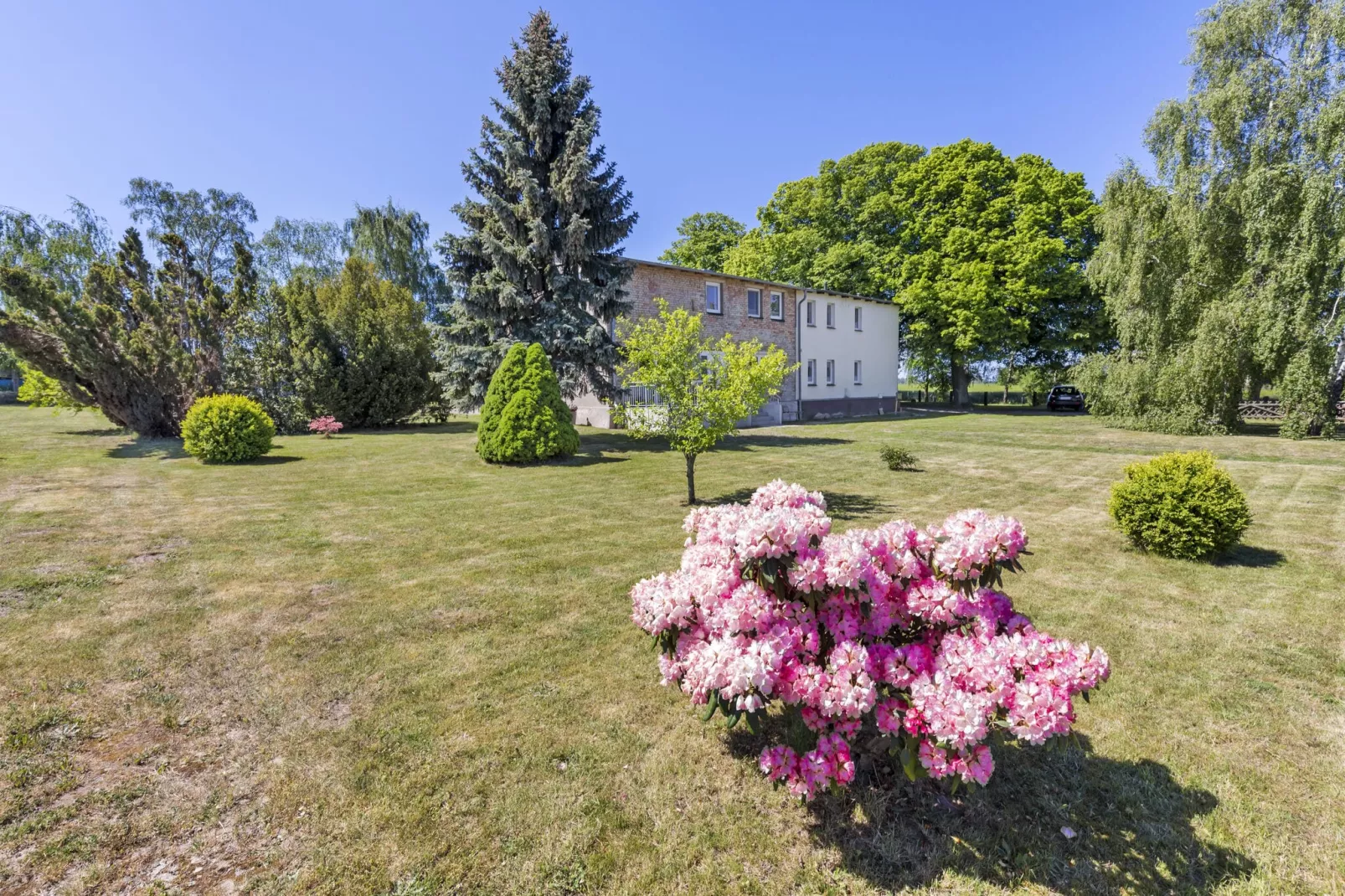 Ferienwohnung in Kühlungsborn-Tuinen zomer