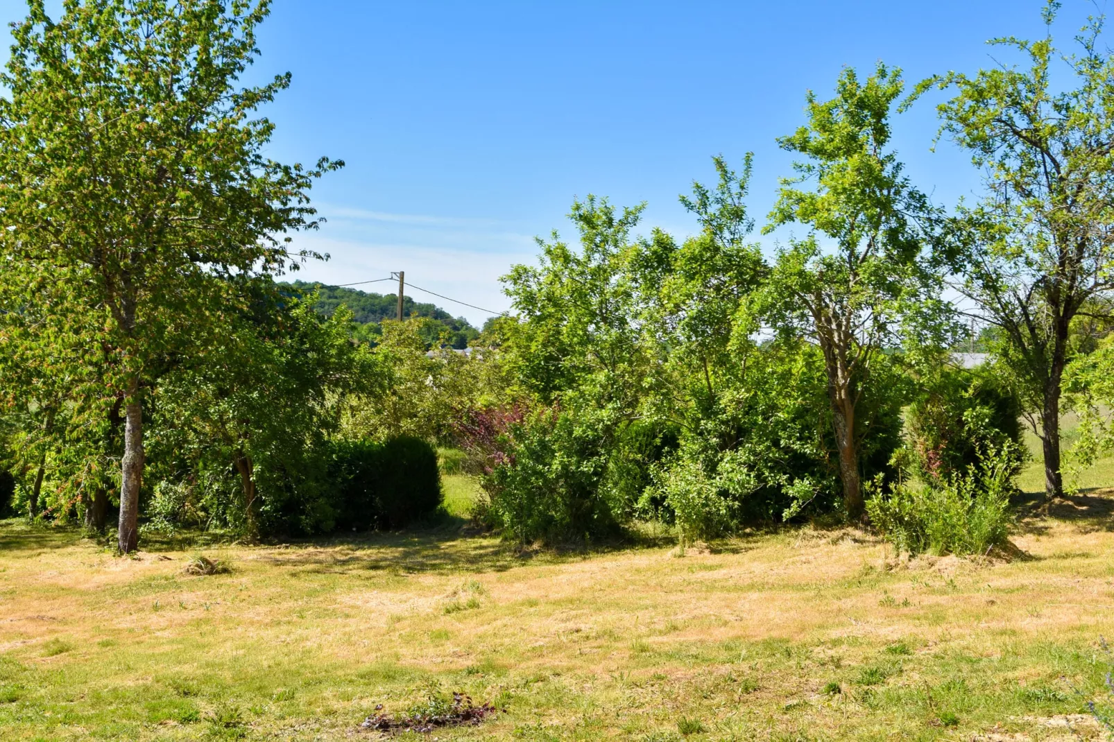 Gite vallée de la Loire-Gebieden zomer 1km