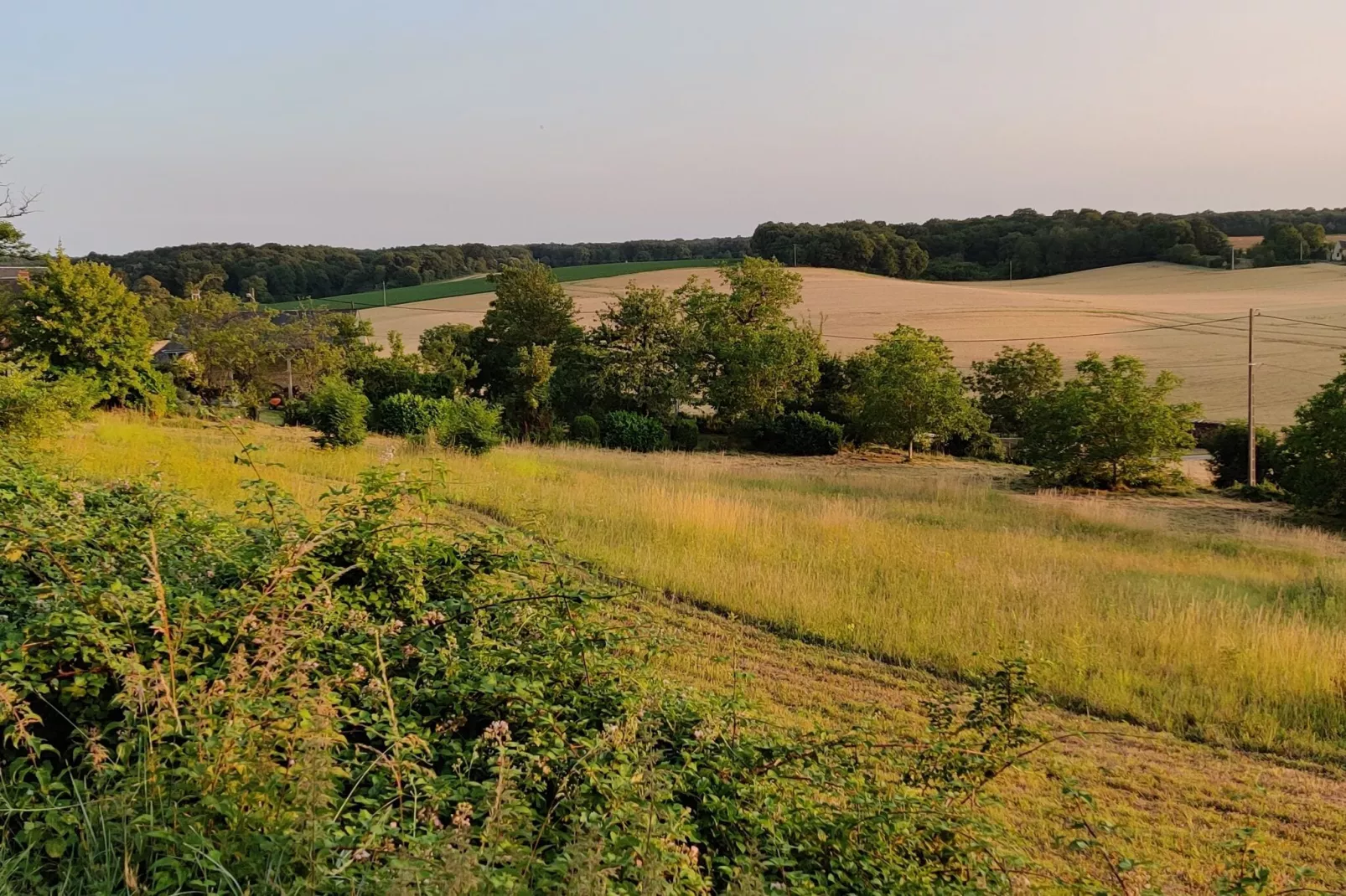 Gite vallée de la Loire-Uitzicht zomer