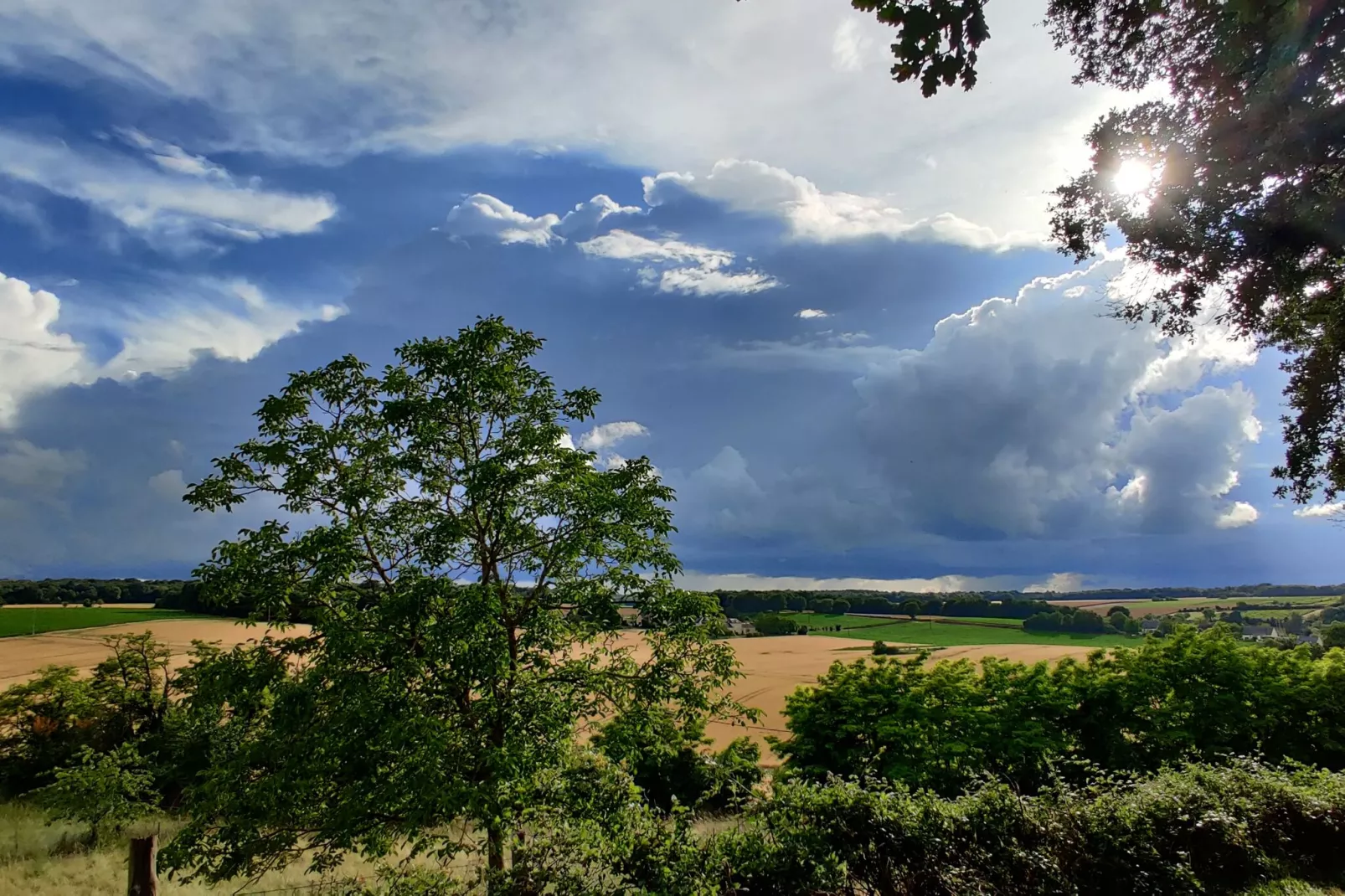 Gite vallée de la Loire-Gebieden zomer 1km