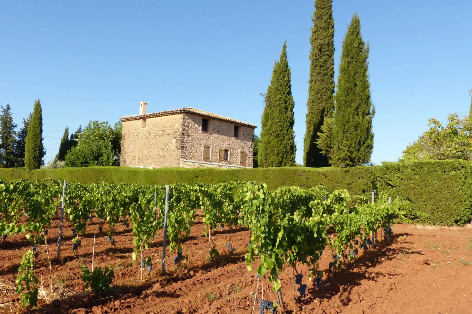 Entre les vignobles-Gebieden zomer 1km