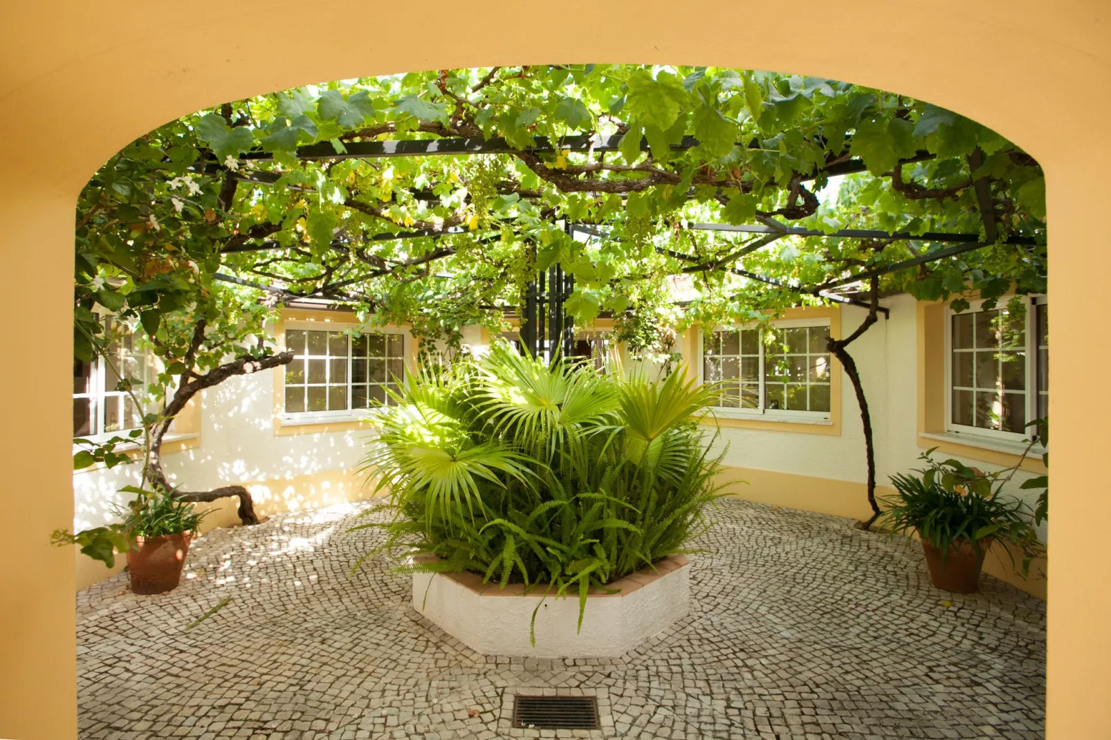 Villa Foz do Banho-Tuinen zomer