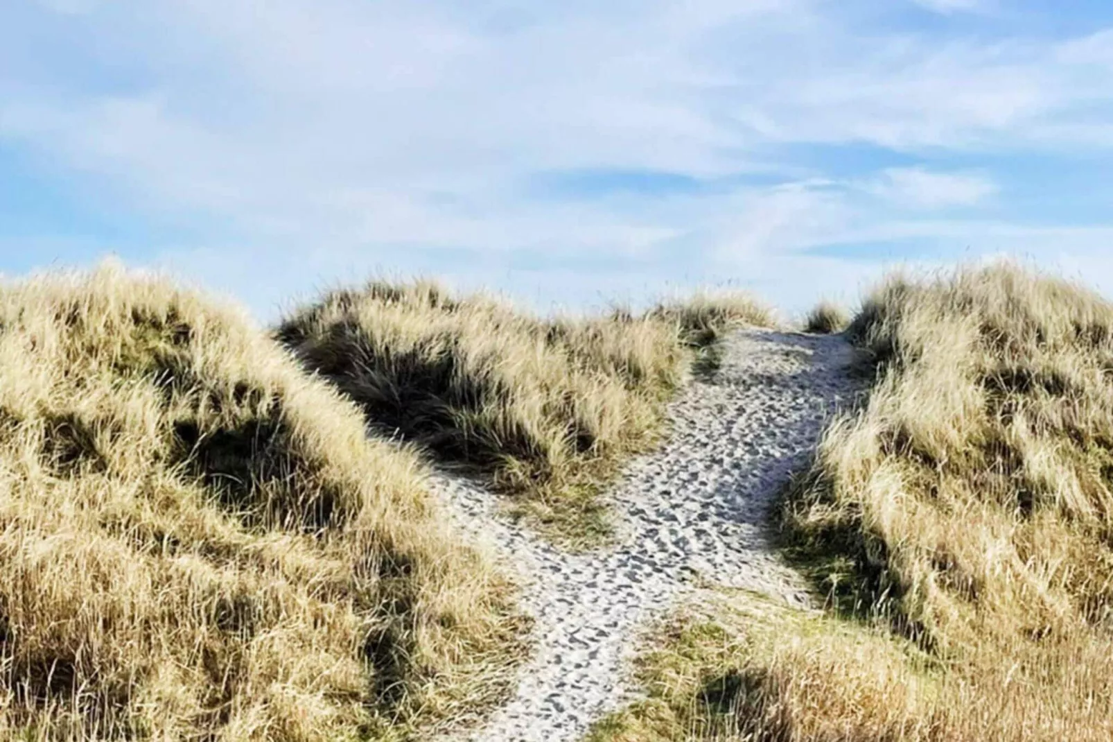 6 persoons vakantie huis in Hals-By Traum-Buitenlucht