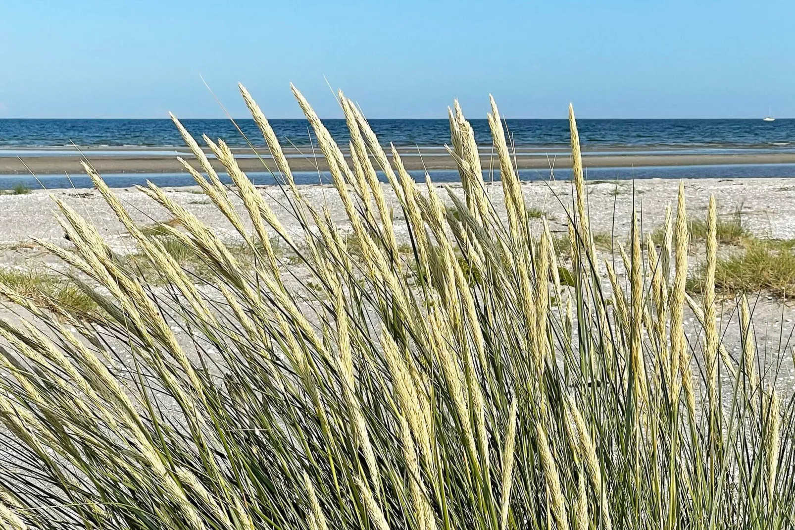 6 persoons vakantie huis in Hals-By Traum-Niet-getagd