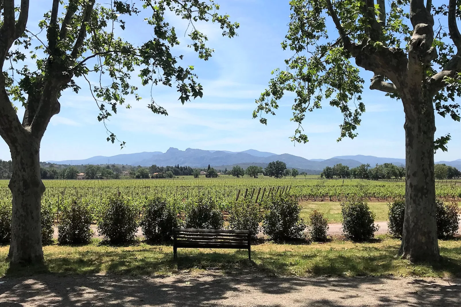 Entre les vignobles-Gebieden zomer 20km