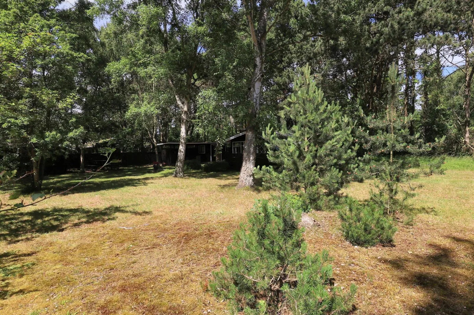 4 persoons vakantie huis in Rødby-By Traum-Uitzicht