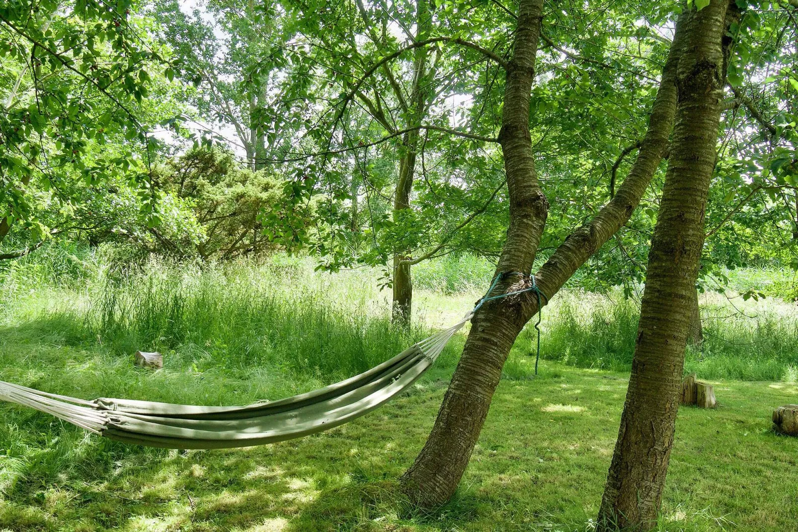 6 persoons vakantie huis in Asnæs-By Traum-Uitzicht